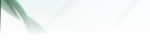 produkty/ostnaty-drat-motto-pozink-s-pvc/__1.jpg