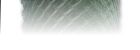 produkty/pozink-s-pvc-se-zapletenym-napinacim-dratem/__1.jpg